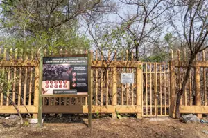 Créditos: Sectrétaria de Desarrollo Sustentable Morelos (Facebook)