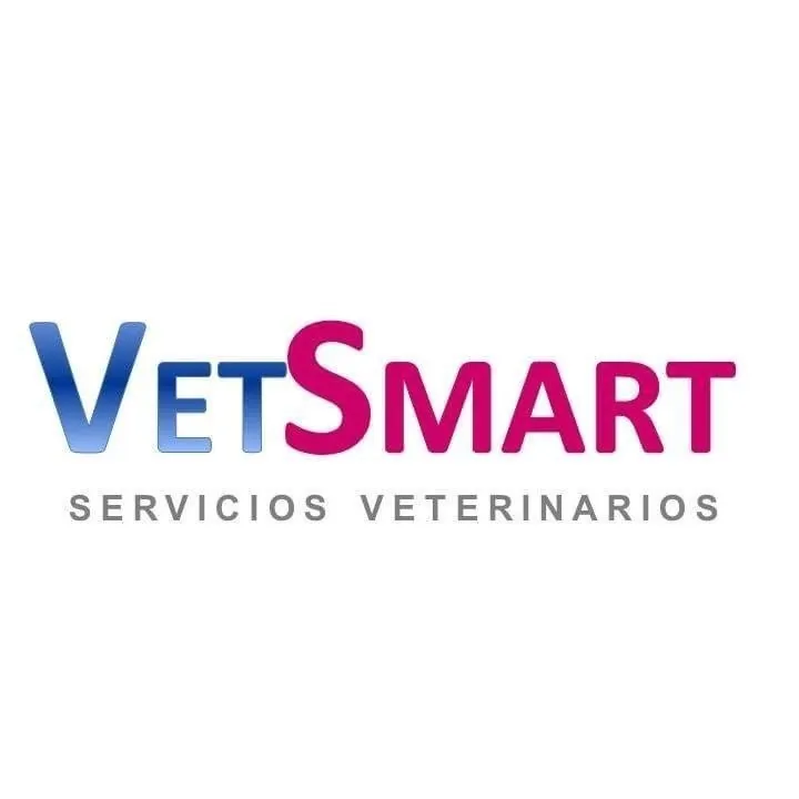 Vetsmart Cuernavaca