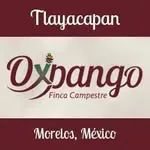 Oxpango